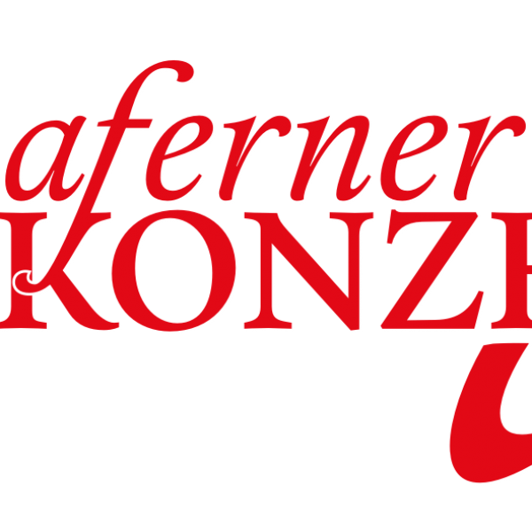 P.P. Daferner Sozialkonzepte